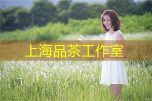 这里都能满足您的需求