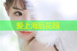 在上海打拼的年轻人太不容易