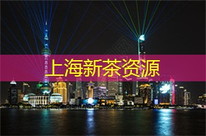上海论坛献上最新研究成果：引领城市创新