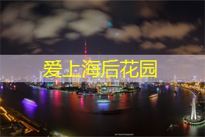品味上海茶庄里的经典绿茶